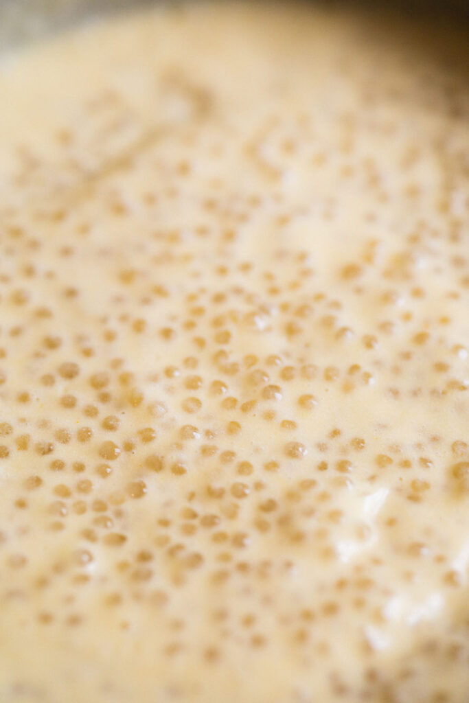 tapioca pearls in mango puree