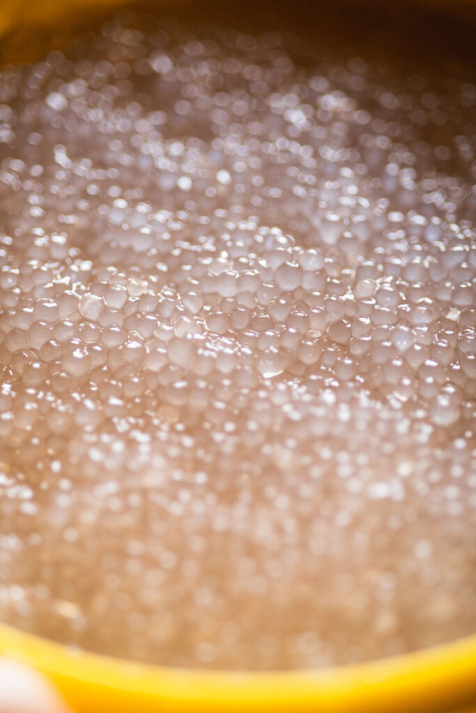 cooked tapioca pearls