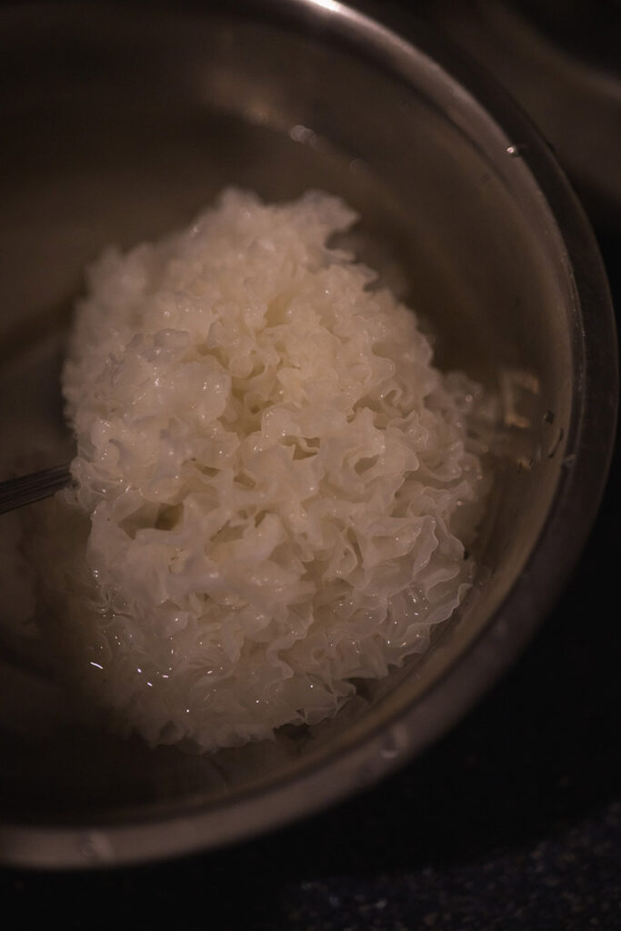 snow fungus in water